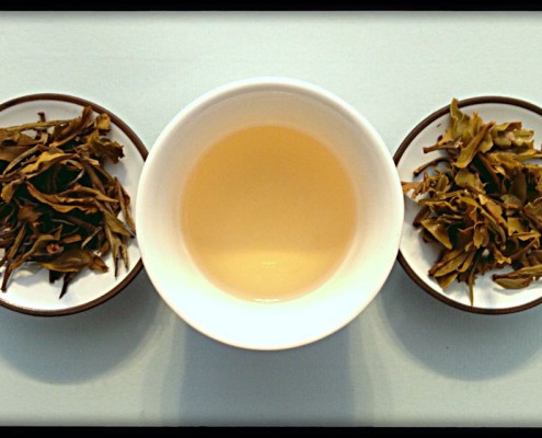 Tè verde Lelsa Lung Chee