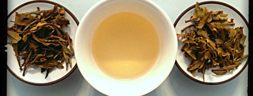 Tè verde Lelsa Lung Chee